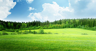 land